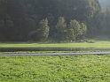 bild (43)